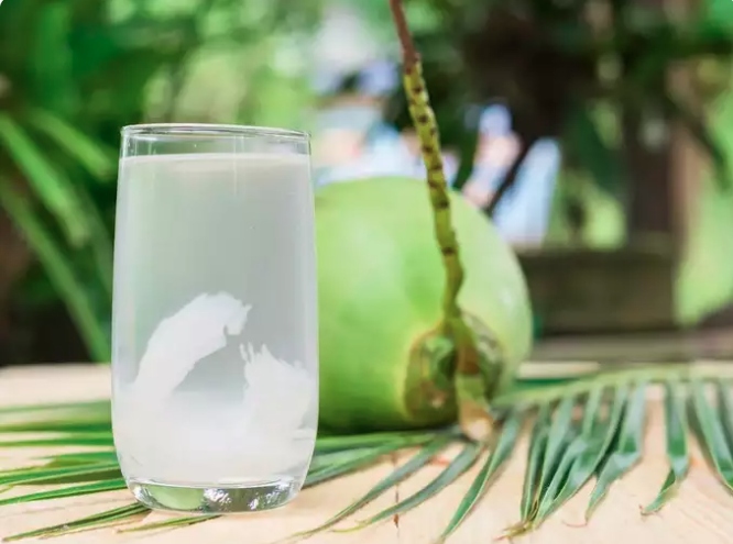 Tăng cường miễn dịch: Nước dừa thô là nguồn cung cấp cytokinin tự nhiên, loại hormone thực vật có tác dụng chống lão hóa, chống ung thư và tăng cường miễn dịch. Bằng cách tăng cường khả năng phòng vệ của cơ thể và chống lại stress oxy hóa, nước dừa giúp ngăn ngừa nhiễm trùng và tăng cường sức khỏe tổng thể.