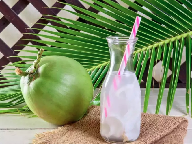 Quản lý cân nặng: Mặc dù có vị ngọt nhưng nước dừa thô lại có lượng calo và đường thấp đáng ngạc nhiên so với nhiều loại đồ uống khác. Chính điều này giúp bạn có thể thay thế các loại nước ngọt và nước trái cây có đường, để duy trì cân nặng hợp lý và kiềm chế cảm giác thèm ăn.