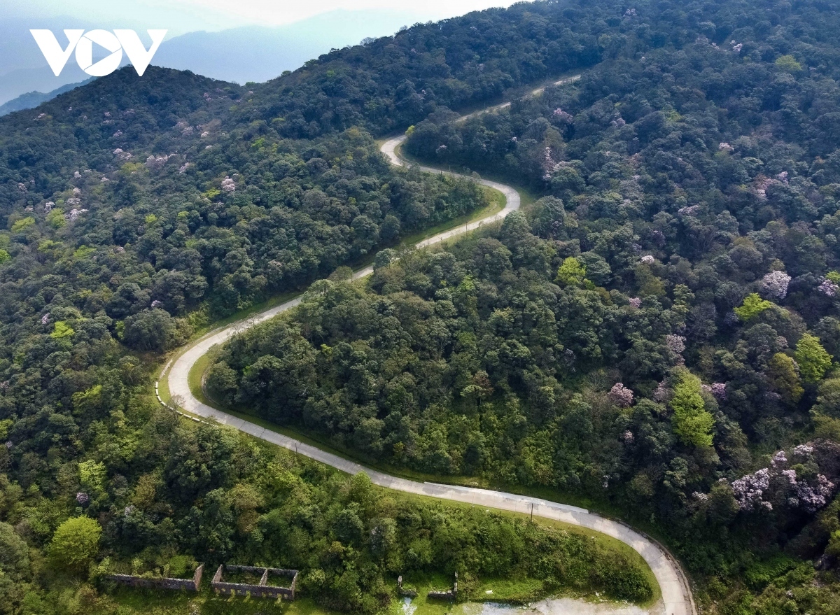 The Phia Oac - Phia Den National Park in Cao Bang province is a pristine wilderness that offers a unique and unforgettable experience for both nature enthusiasts and adventurers alike.