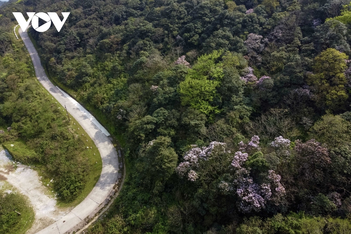 The park boasts a range of fantastic natural and wild scenery.