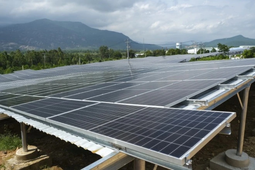 Thống kê của hải quan Hoa Kỳ, kim ngạch nhập khẩu từ Việt Nam năm 2023 là 4,2 tỷ USD. (Ảnh: Đức Duy/Vietnam+)