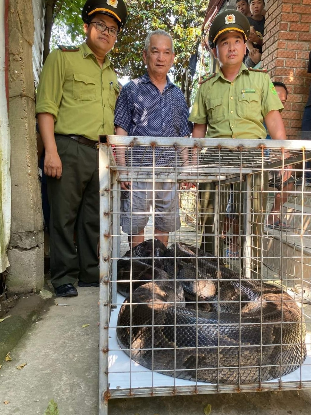 Ông Hà Văn Đới giao nộp con trăn đất cho Hạt Kiểm lâm thành phố Huế (Ảnh: Kiểm lâm cung cấp)
