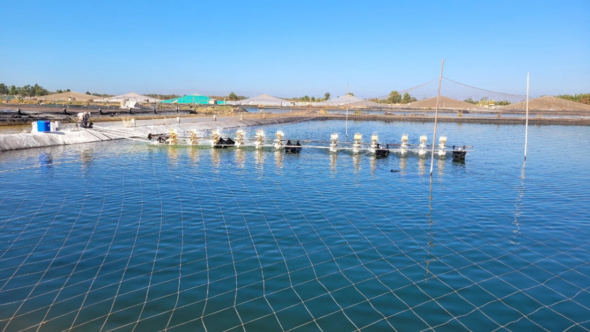 Tình hình xâm nhập mặn và thiếu nước ngọt mùa khô sớm cần có giải pháp đối với vùng cù lao này.