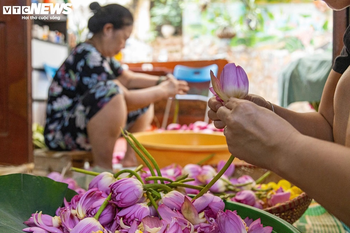 Hiện gia đình bà Thân chủ yếu cung cấp ra thị trường các loại trà sen shan tuyết, trà sen truyền thống, trà sen bông. Bà Thân giải thích, sở dĩ giá trà sen cao vì công đoạn làm trà rất tốn sức và mất thời gian. Được biết, loại trà sen shan tuyết có giá 10.000.000 đồng/kg, phải ướp qua 7 lứa trong 15 ngày và cần tới 1.500 bông sen. Loại trà sen truyền thống thì có giá 7.000.0000 - 8.000.000 đồng/kg, phải ướp qua 5 lứa, cần tới 1.000 bông sen cho 1 kg trà.