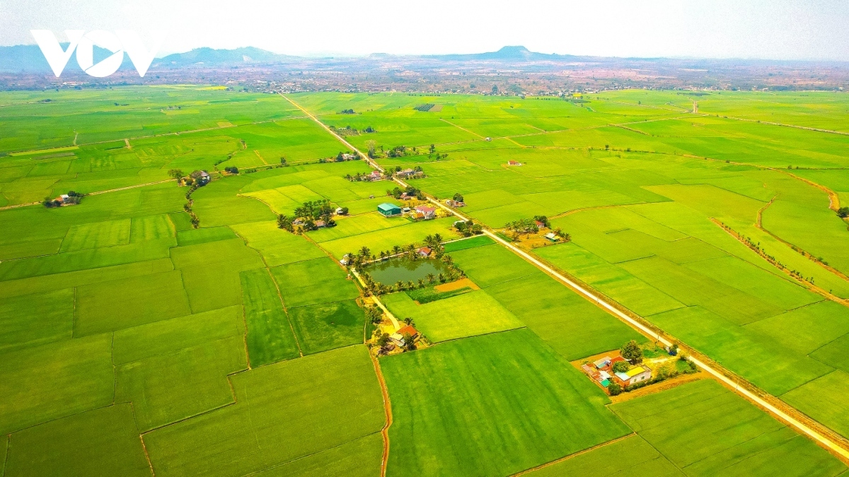 Many households in Choah Village have lived off intensive farming in the field, unlike other areas in the Central Highlands.