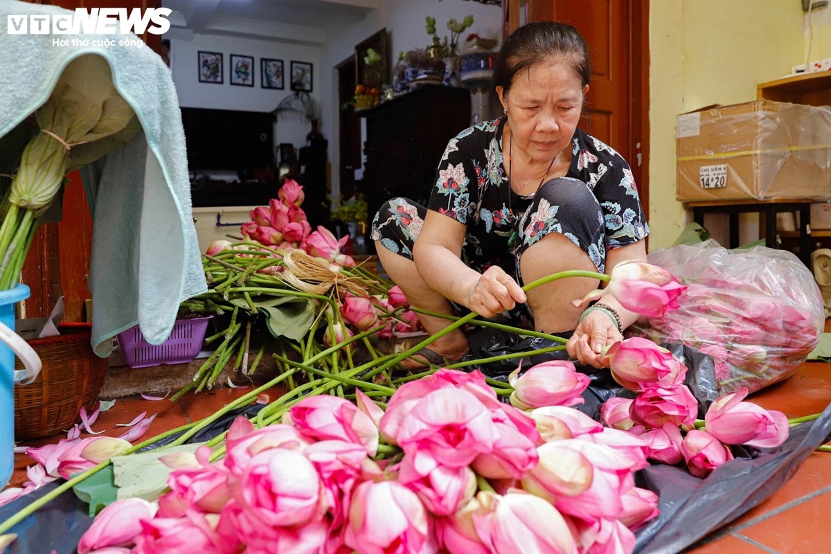 Gia đình Bà Ngô Thị Thân đã có hơn 7 thập kỷ gắn bó với nghề làm trà sen.