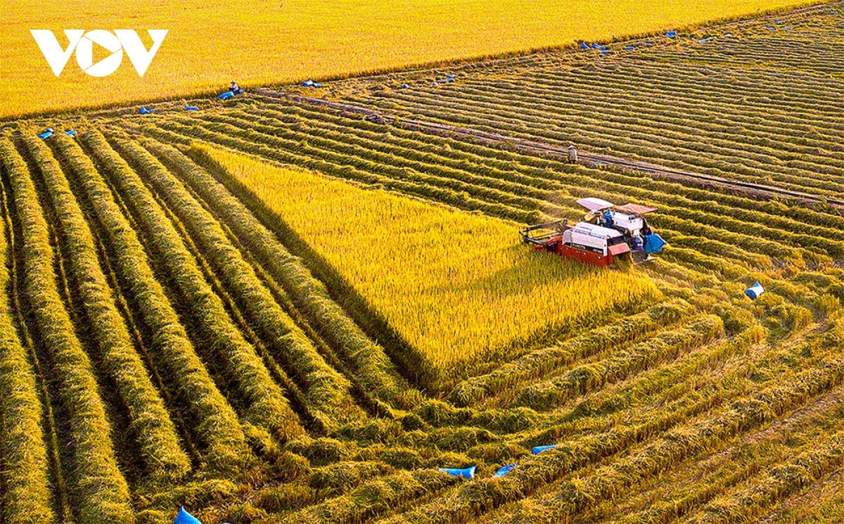 For a long time, machines have been used in farming, replacing manual work.