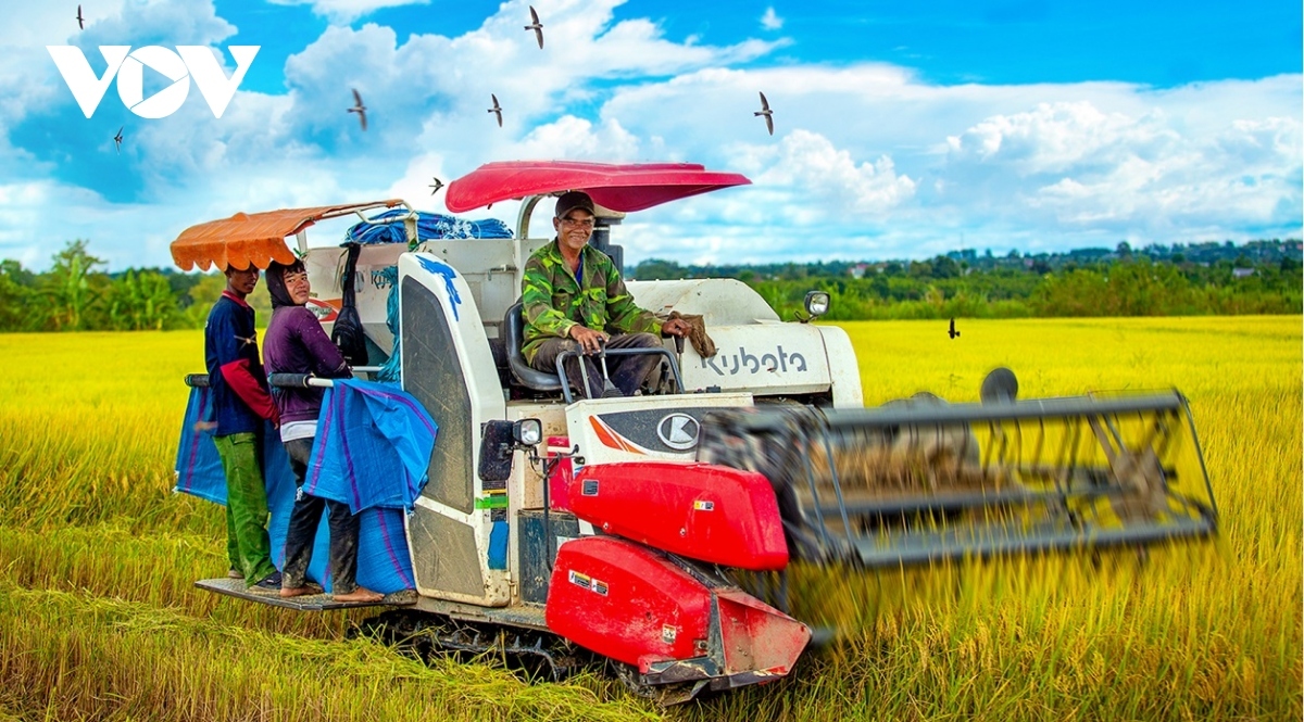 The mechanization process in farming contributes to increasing the output.