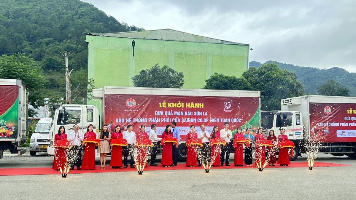 Lễ khởi hành đưa quả mận hậu Sơn La vào hệ thống phân phối của Saigon Co.op