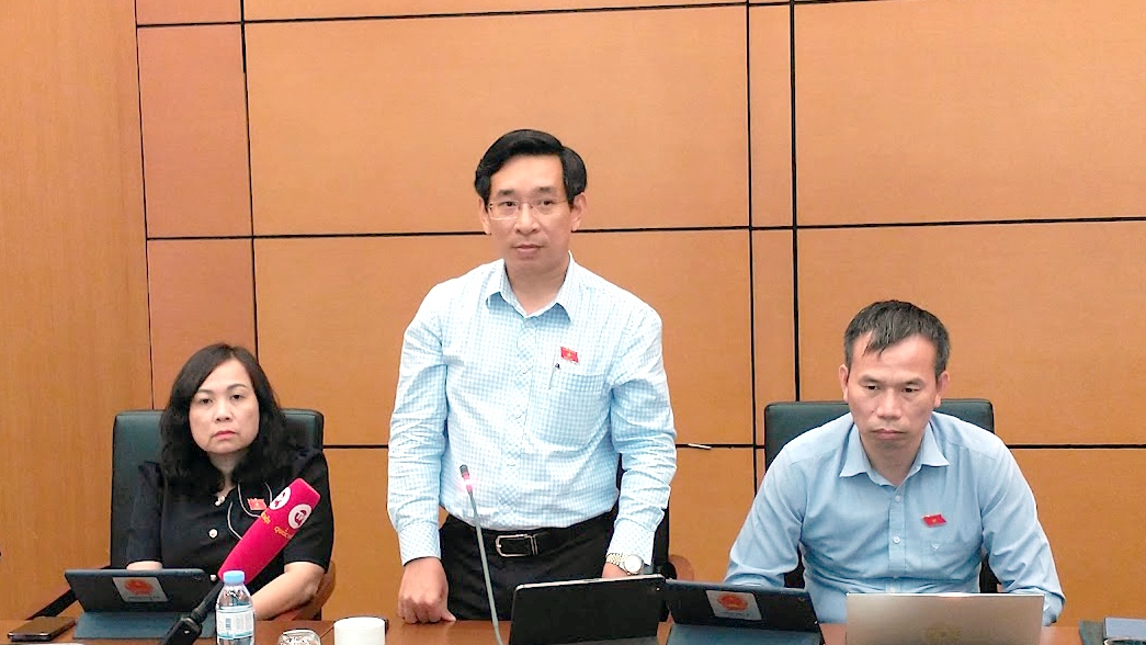 Đại biểu Nguyễn Văn Cảnh (đoàn Bình Định)