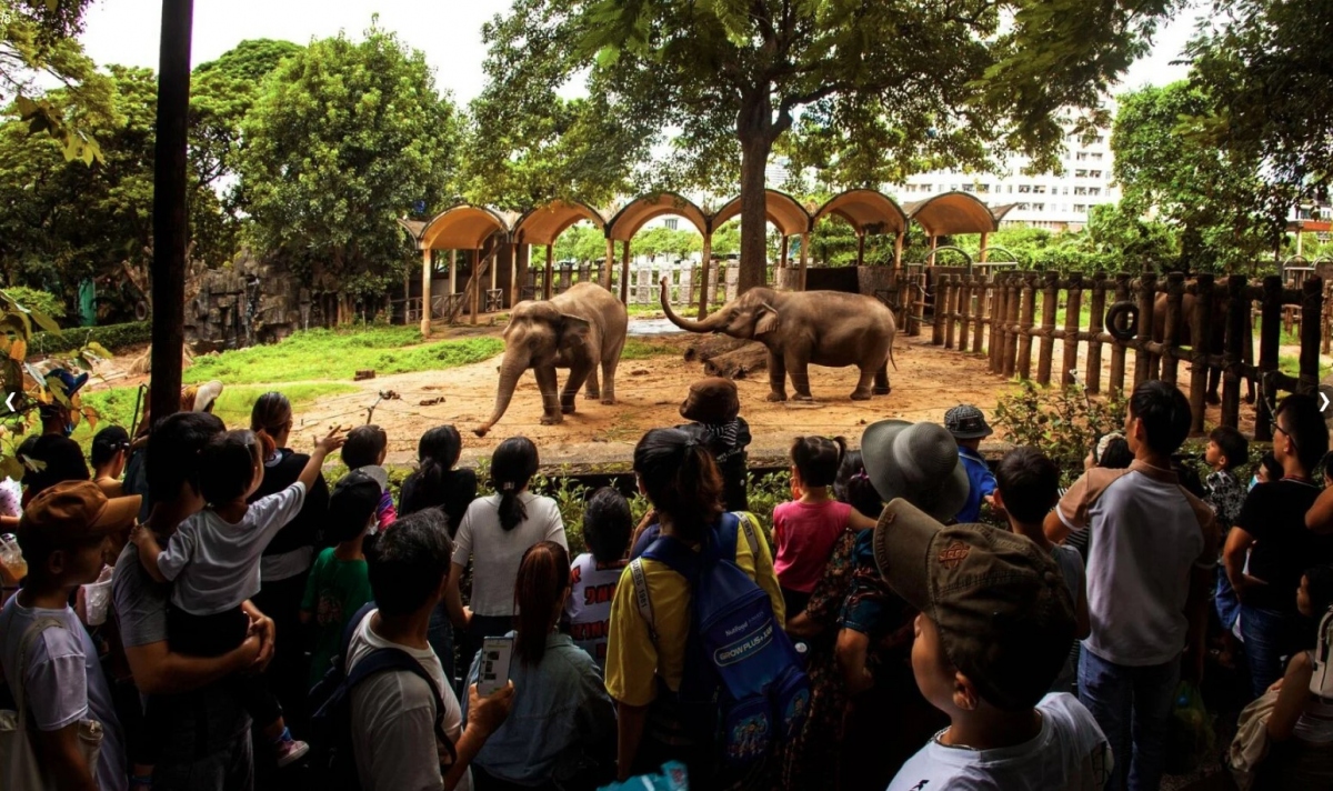 Saigon zoo and botanical garden is a perfect spot in Ho Chi Minh City that is home to thousands of types of exotic flora and fauna. Families can enjoy taking a stroll through the lush gardens, observe wildlife, and enjoy fun-filled games together.