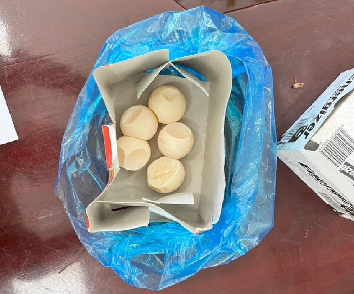 Tang vật 5 quả trứng vích (rùa biển) do cơ quan chức năng thu giữ (Ảnh: Báo Thanh niên)
