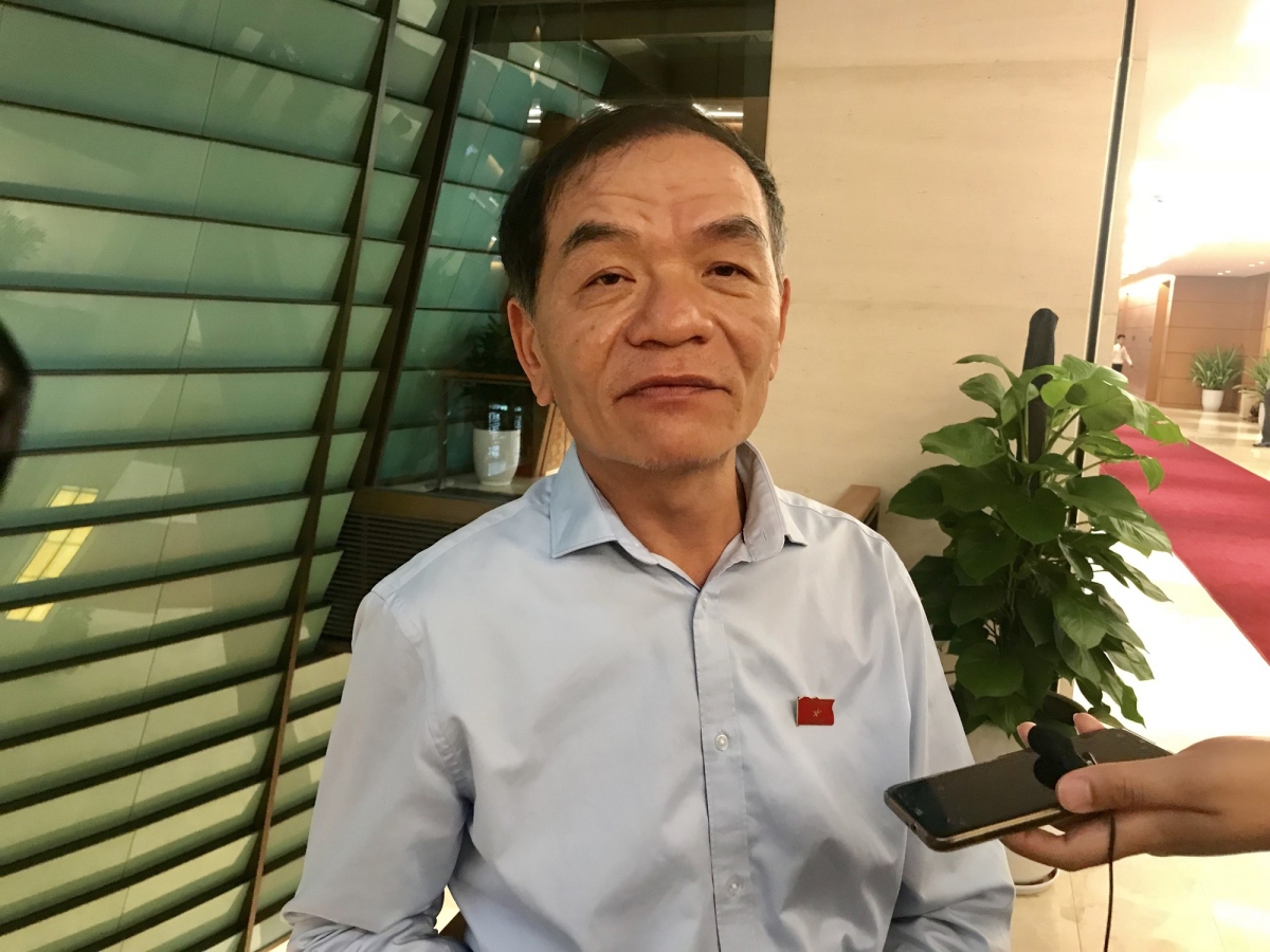Đại biểu Quốc hội Lê Thanh Vân