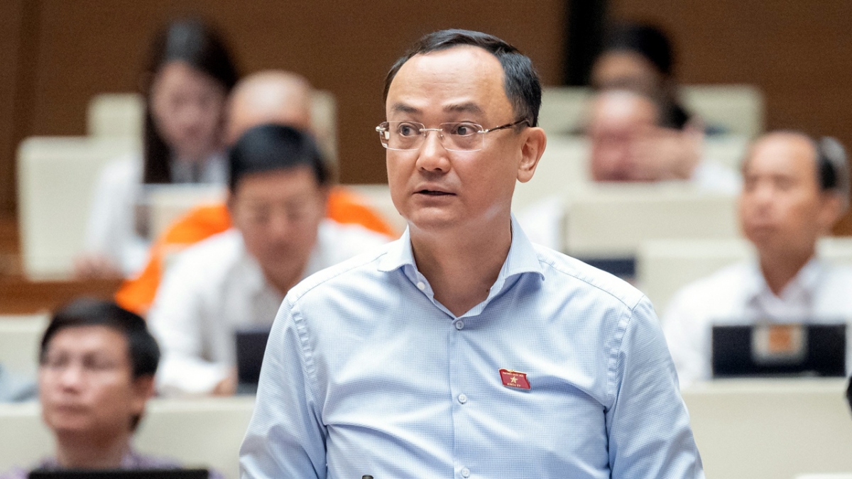 Đại biểu Nguyễn Ngọc Sơn (đoàn Hải Dương)