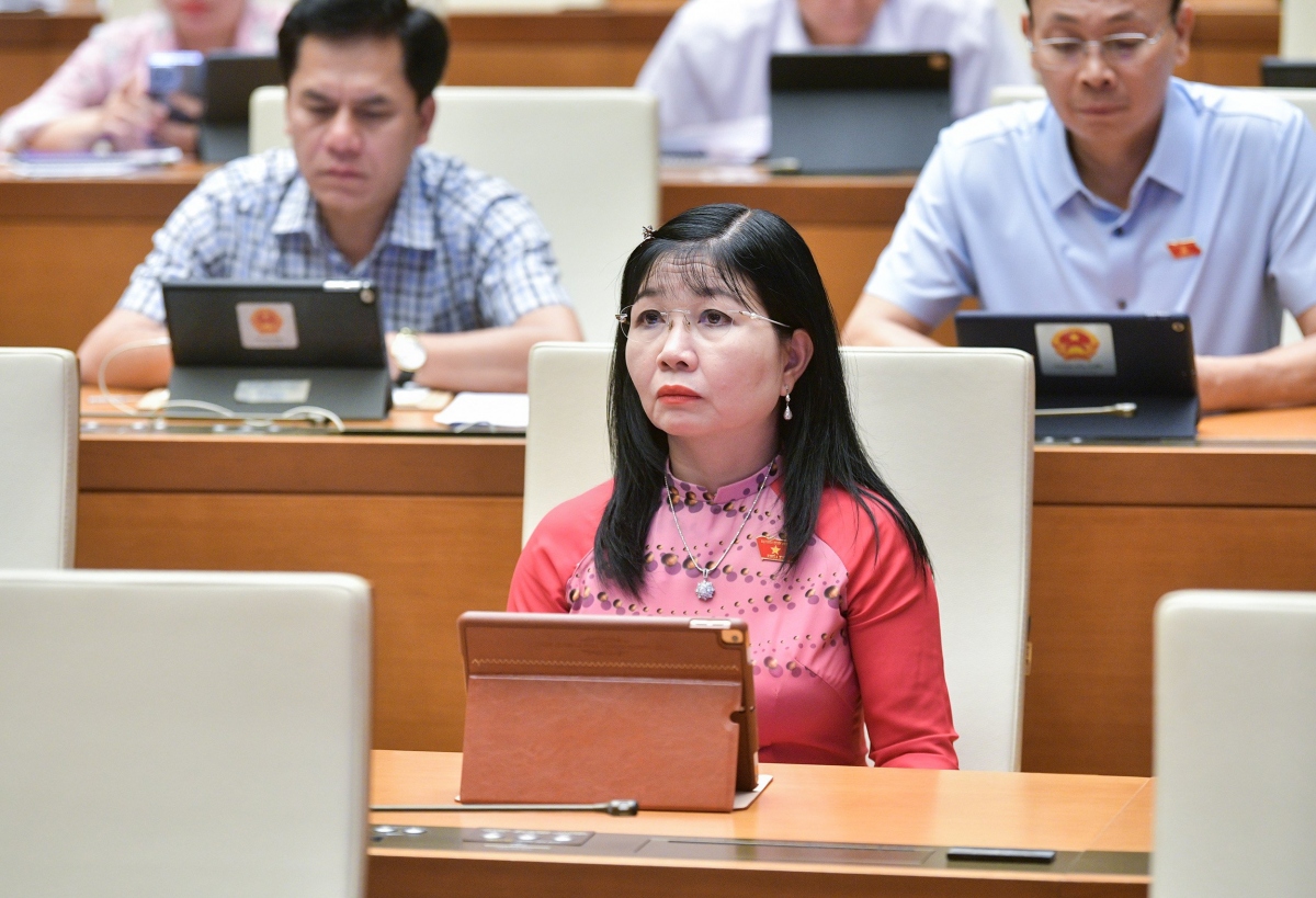 Đại biểu Trần Thị Thanh Hương - Đoàn An Giang.