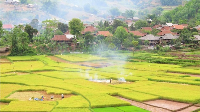 Đời sống của người dân Nậm Pồ đã cải thiện rõ rệt, tỷ lệ hộ nghèo giảm còn hơn 44%
