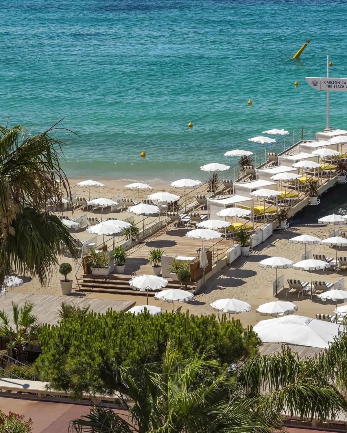 Nhà hàng Riviera phục vụ các món ăn Địa Trung Hải theo mùa do đầu bếp Laurent Bunel chế biến và có tầm nhìn tuyệt đẹp ra khu Croisette. Rüya, do chủ nhà hàng nổi tiếng Umut Özkanca sáng tạo, có thực đơn tinh tế gồm “ẩm thực lấy cảm hứng từ lịch sử đầy màu sắc của Bán đảo Anatolian” như các loại thịt, hải sản, thảo mộc và rau có nguồn gốc địa phương với món quay kiểu Thổ Nhĩ Kỳ. Du khách còn được thưởng thức nhiều loại trà và bánh ngọt tươi ngon cũng như buổi biểu diễn đàn hạc trực tiếp tại Camélia Tea Lounge sang trọng. Các chuyên gia pha chế và nhân viên pha chế chuyên nghiệp sẽ rót những ly cocktail đặc trưng tại quán Bar 58 tràn ngập nhạc jazz tuyệt đẹp.