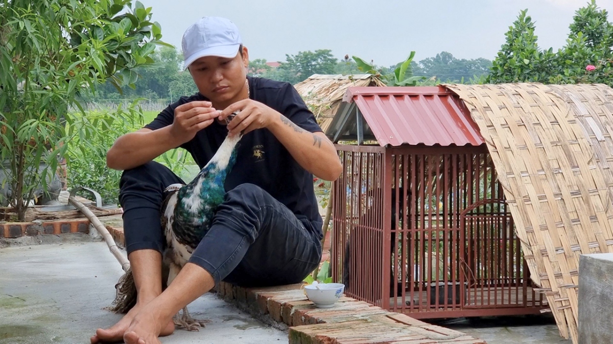Quế Nghịch trở thành một hiện tượng trong cộng đồng yêu thiên nhiên và động vật - Ảnh: NVCC