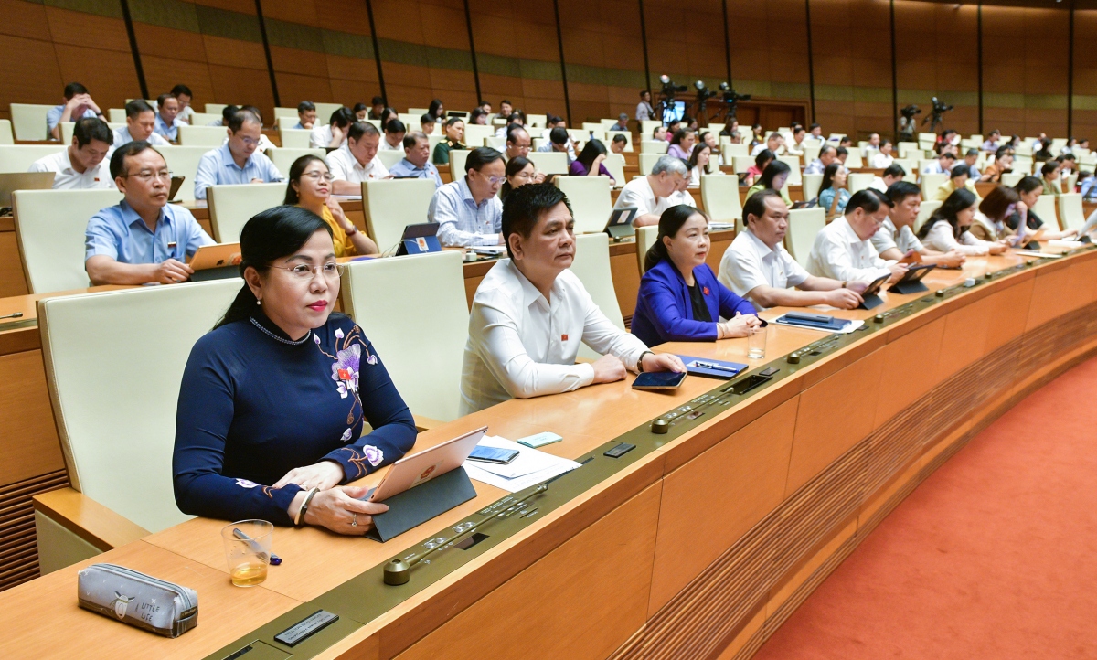Các đại biểu tham dự Phiên họp