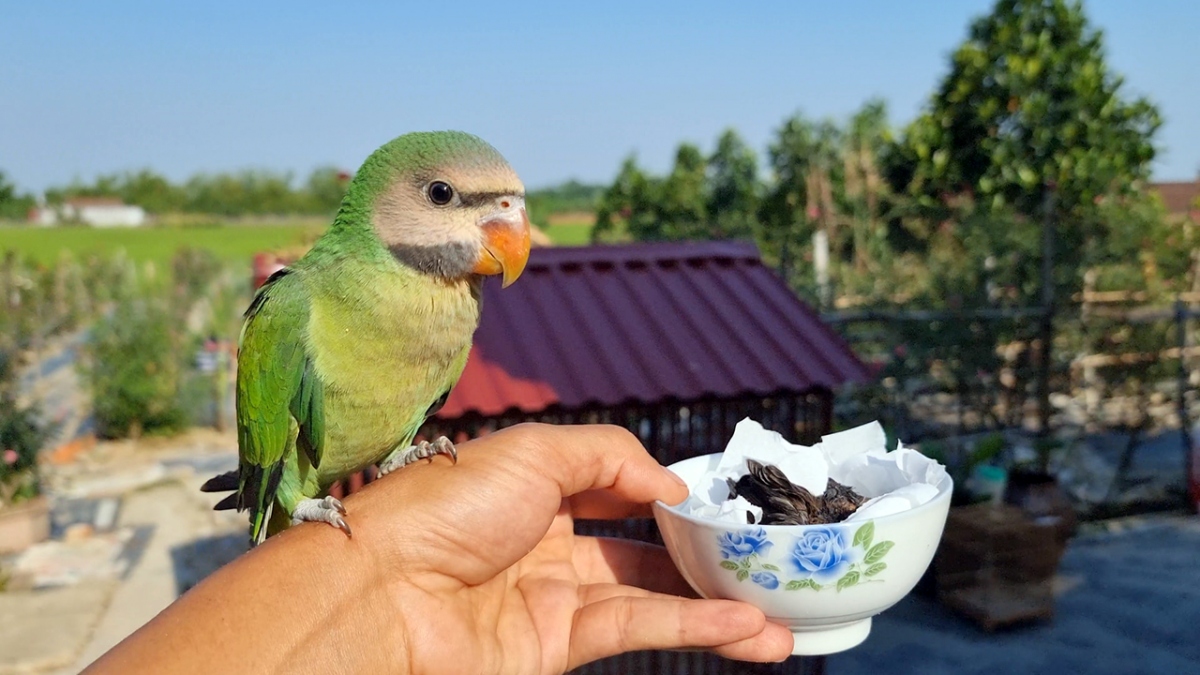 Anh Quế xây dựng kênh với mong muốn mang lại giá trị tinh thần trong sáng và tốt đẹp cho mọi người, đặc biệt là các em nhỏ - Ảnh: NVCC
