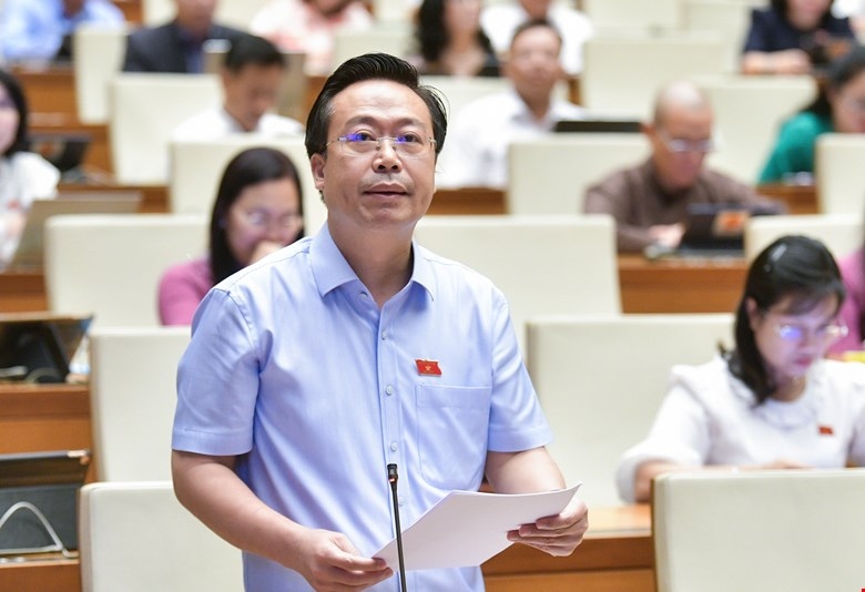 Đại biểu Nguyễn Đại Thắng