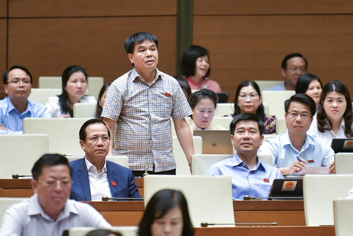 Đại biểu Nguyễn Hữu Toàn tranh luận trên hội trường