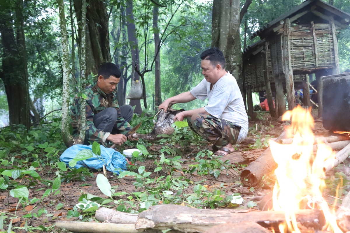 Bên bếp lửa hồng, người mổ vịt, mổ gà...