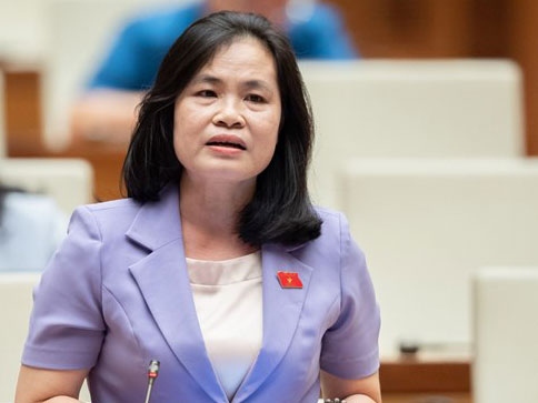 Đại biểu Nguyễn Thị Hồng Hạnh, Đoàn thành phố Hồ Chí Minh