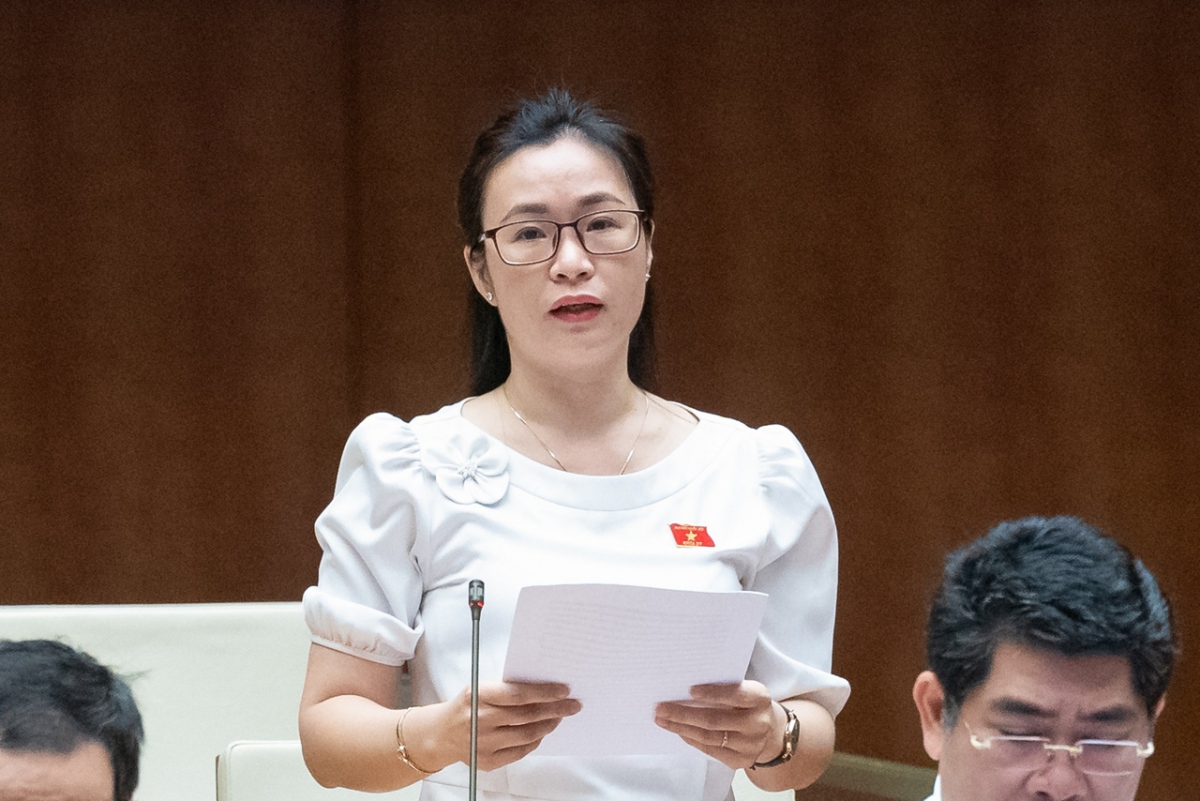 Đại biểu Trần Thị Thu Hằng (đoàn Đắc Nông)