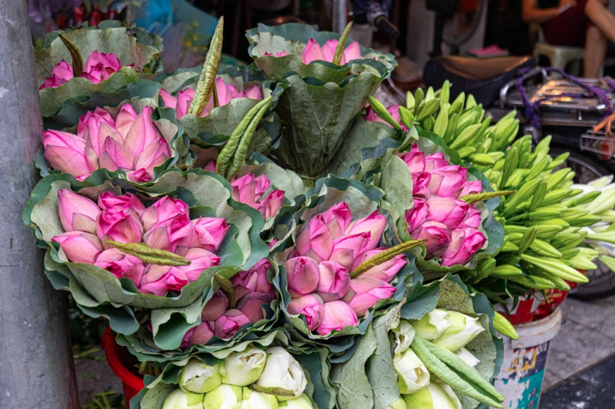 Shops selling flowers and decorative items also attract a large number of buyers. A bunch of lotus flowers is worth VND120,000.