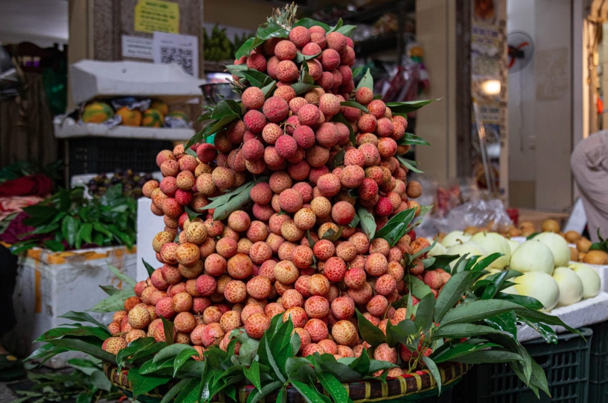 Several different types of fruit such as plums and lychees which have a fresh and sour taste are very suitable to enjoy during the festival.