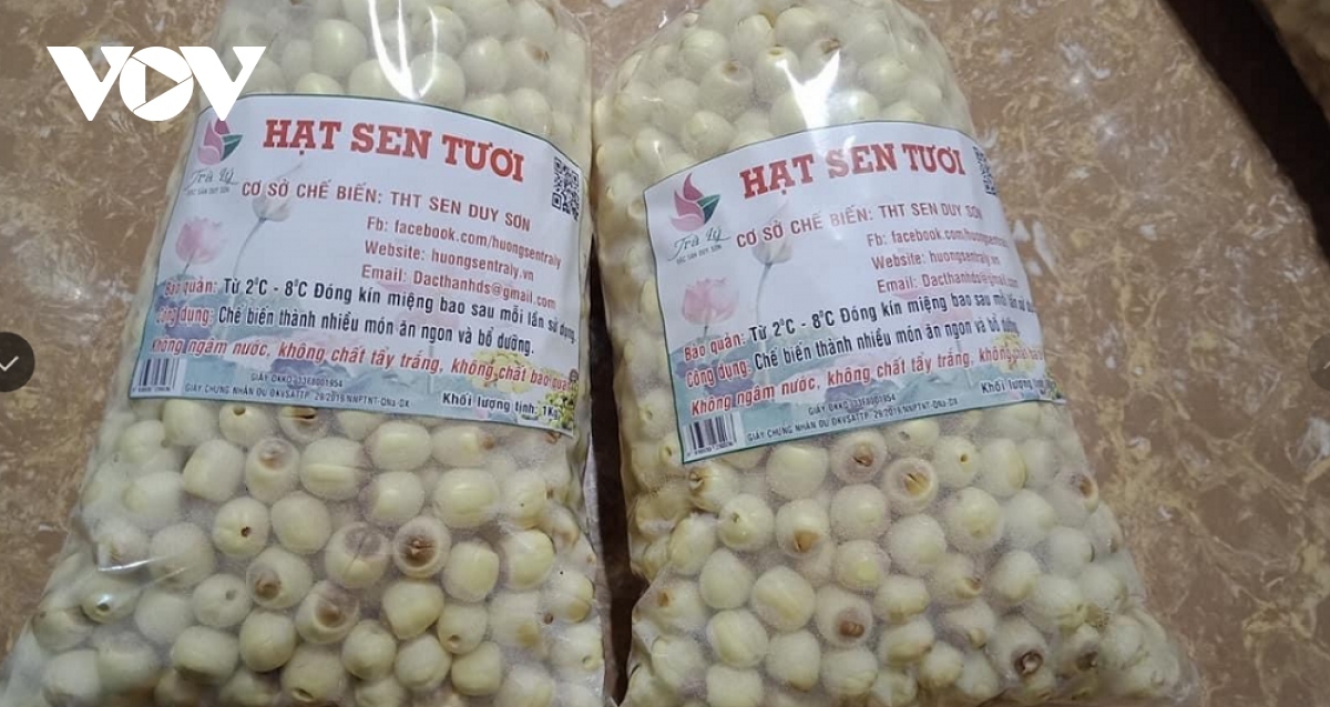Giá 1kg sen tươi bán ra thị trường từ 40.000 đồng/kg đến 50.000 đồng/kg