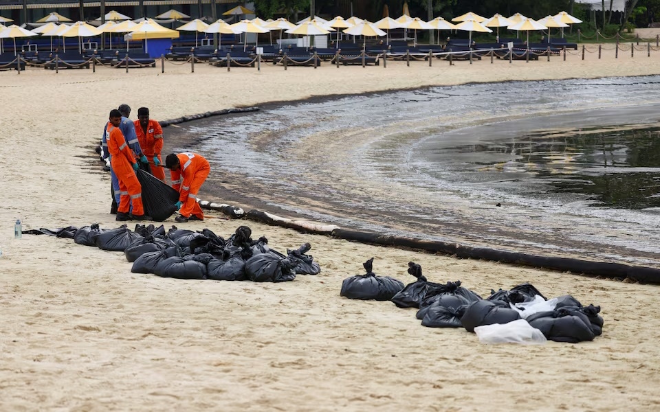 Nhân viên dọn dẹp, khắc phục sự cố tràn dầu tại bờ biển Singapore. Ảnh: Reuters.