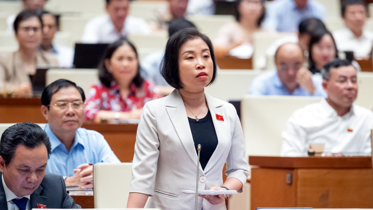 Đại biểu Phạm Thị Thanh Mai (đoàn TP.Hà Nội)