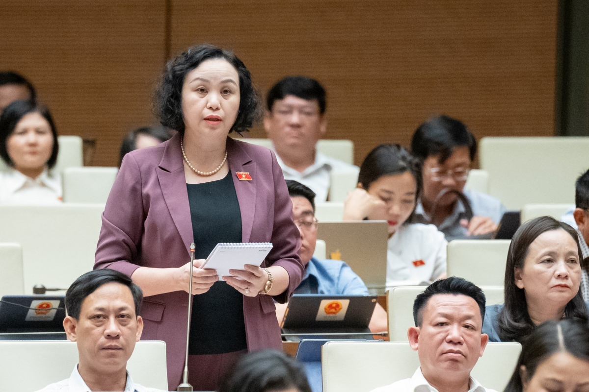Đại biểu Cao Thị Xuân - Đoàn ĐBQH tỉnh Thanh Hóa nêu vấn đề, cần làm rõ tình hình xây dựng, ban hành chính sách quản lý các giao dịch trong hoạt động thương mại điện tử đối với hàng hóa xuất khẩu, nhập khẩu.