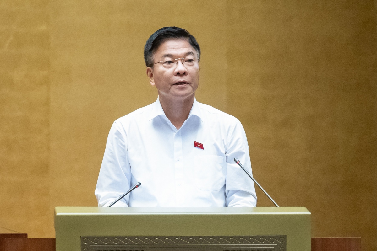 Phó Thủ tướng Lê Thành Long trình bày Tờ trình
