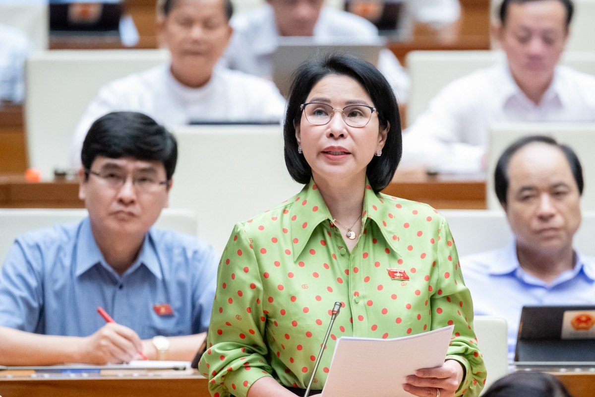 Đại biểu Trần Thị Nhị Hà - Đoàn ĐBQH TP. Hà Nội.
