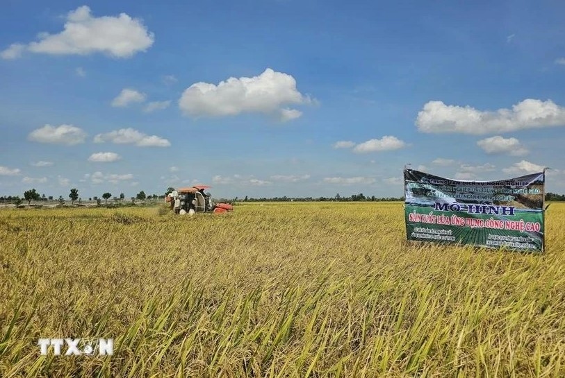 Bà Nguyễn Thị Thái, Phó Chủ tịch UBND phường Đại Kim (Hoàng Mai, Hà Nội) trả lời phóng viên VOV