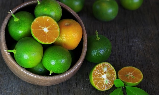 Quất từ xưa đã được sử dụng để chữa các bệnh về hô hấp. Ảnh: Getty Images