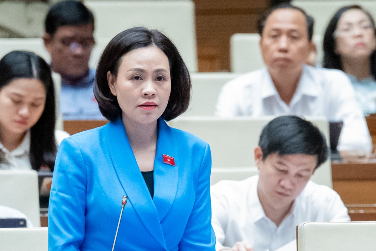 Đại biểu Trần Thị Hồng Thanh (đoàn Ninh Bình)