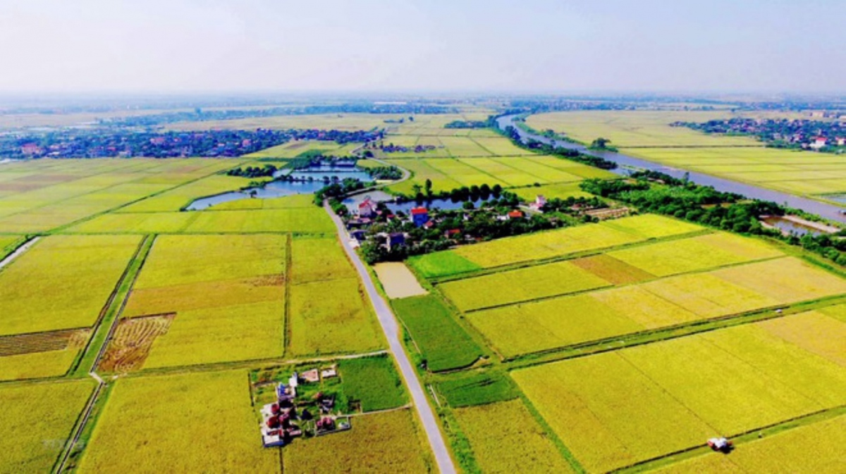 Đề xuất tiếp tục miễn thuế sử dụng đất nông nghiệp đến hết năm 2030 (Ảnh minh họa: KT)