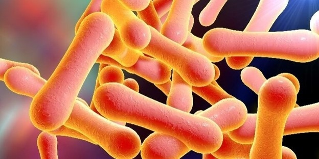 Lấy mẫu xét nghiệm cho người tiếp xúc gần với bệnh nhân. Ảnh: CDC Nghệ An