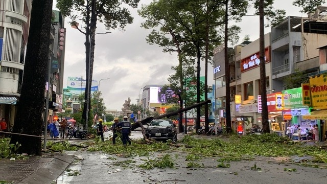 Cây xanh ngã đè trúng ô tô tại đường Ngô Gia Tự (Ảnh: Y.L)