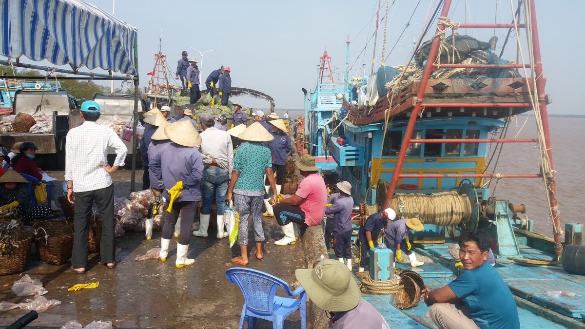 Huyện Bình Đại, tỉnh Bến Tre phát triển mạnh nghề khai thác hải sản.