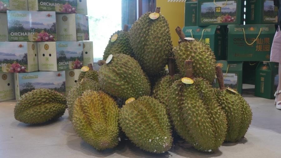 Sầu riêng trồng ở Hải Nam, Trung Quốc. Ảnh: Tân Hoa xã
