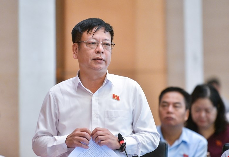 Đại biểu Nguyễn Trường Giang