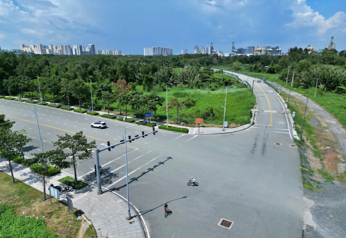 Trong tương lai, các loại cây được trồng tại công viên sẽ là cây bản địa, có khả năng chống chịu môi trường đô thị. Đặc biệt, công viên này còn xây dựng một khu rừng nhân tạo, tạo môi trường sống cho động vật hoang dã.