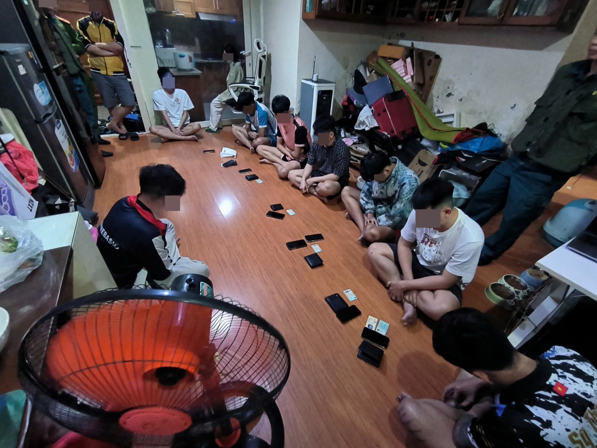 Các đối tượng trong “Băng mũ rơm” 