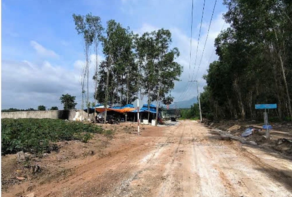 Đường vào trang trại heo nái sinh sản Tân Long.