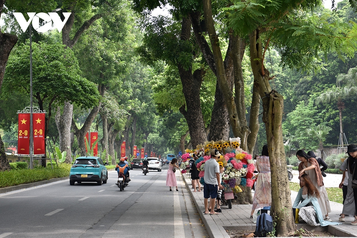 Red flags coupled with beautiful flowers on Hanoi’s streets create a jubilant atmosphere ahead of welcoming the country’s main national holiday.